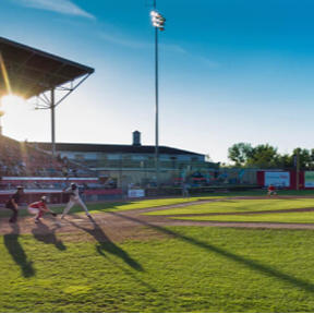 baseball