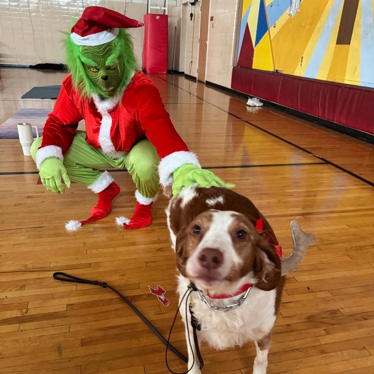 grinch costume and dog
