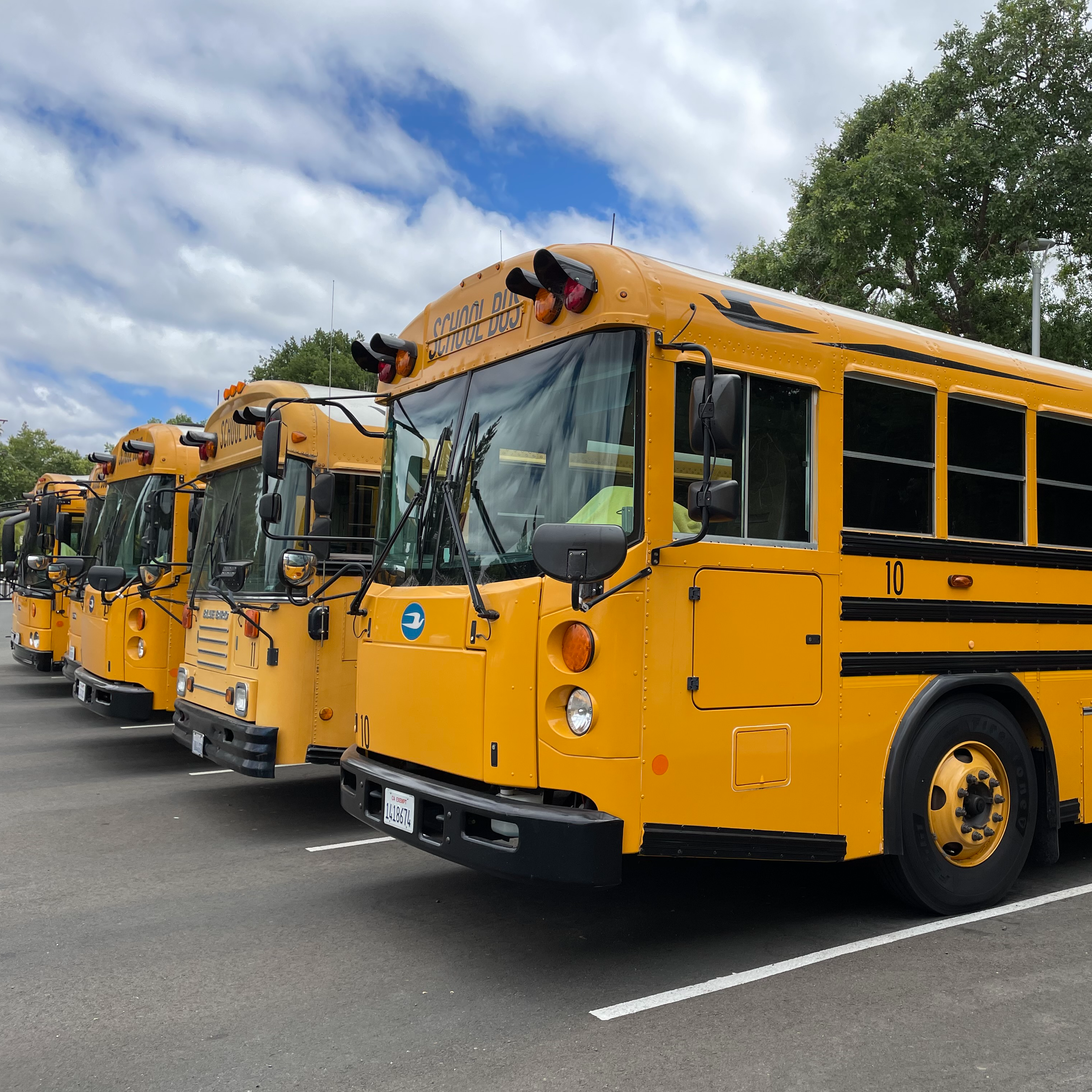 Side view of bus fleet