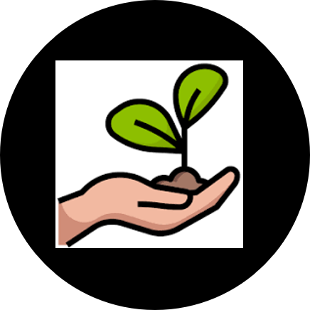 Hand holding a small plant with green leaves. The hand is light brown. Black border around the image.