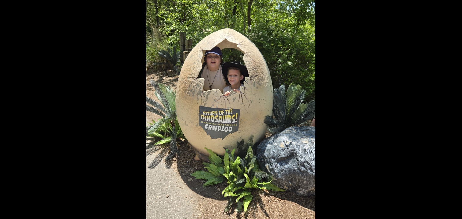 ZOO 3