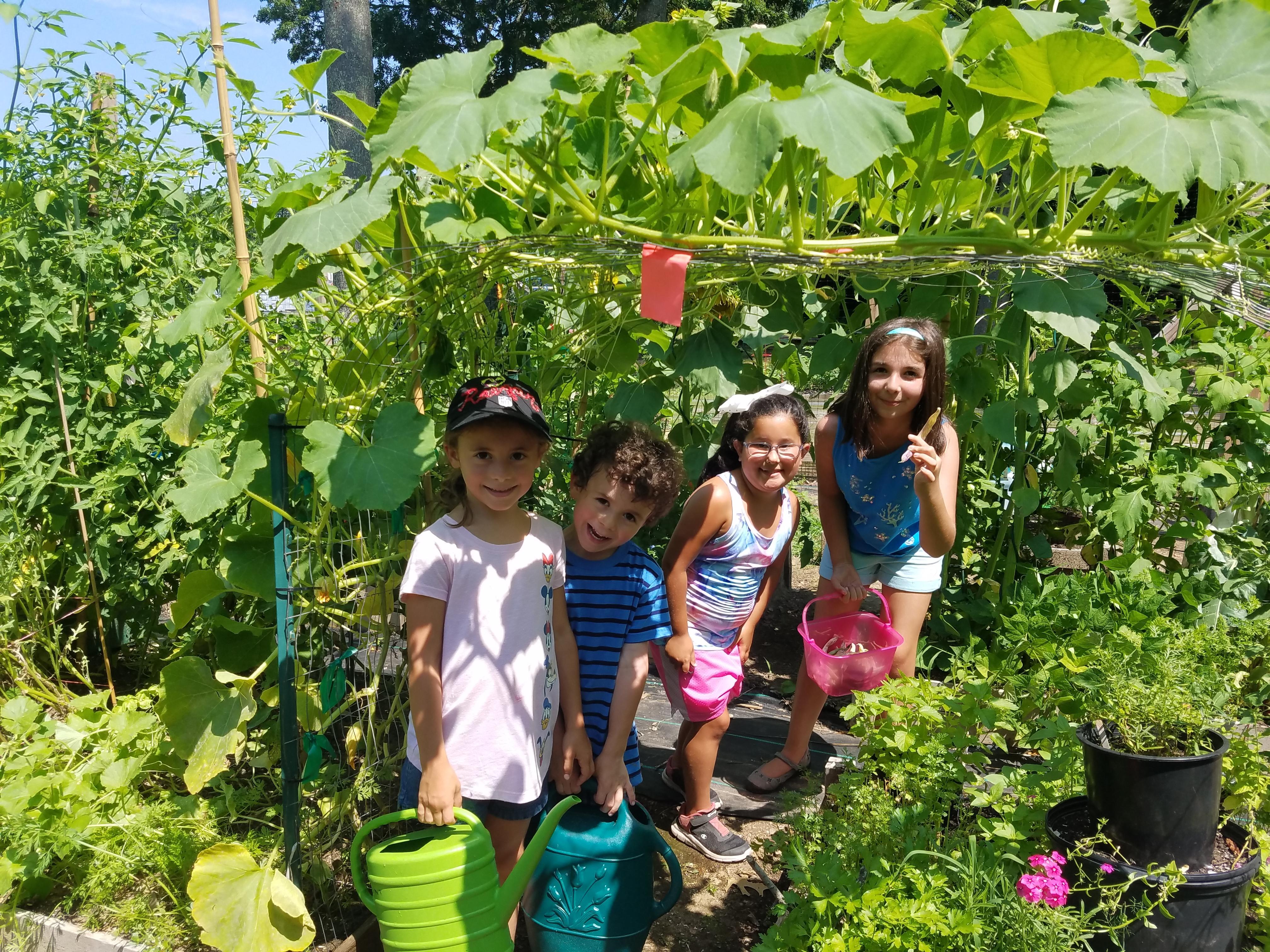 Outdoor Classroom