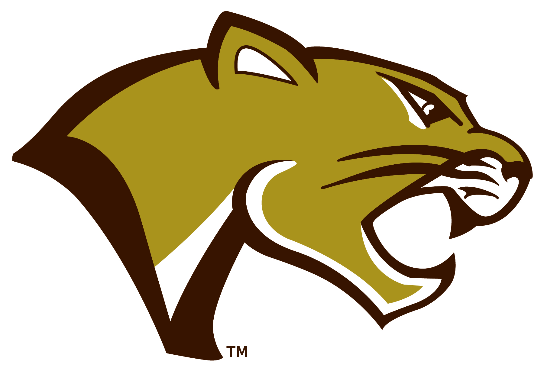 Photo of Highland's Trademarked Cougar Head Logo 