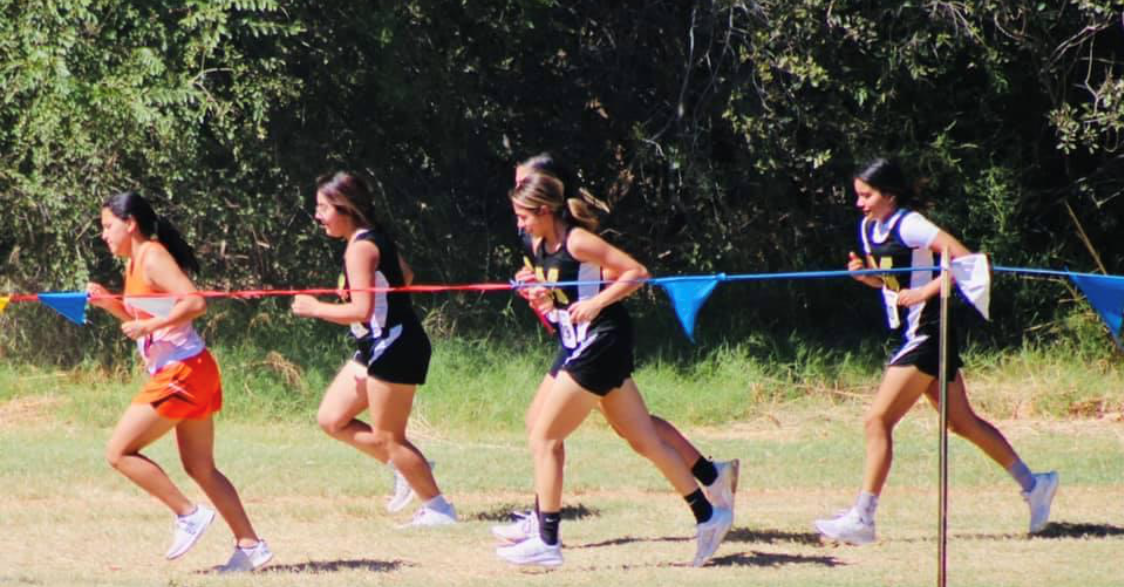 xc
