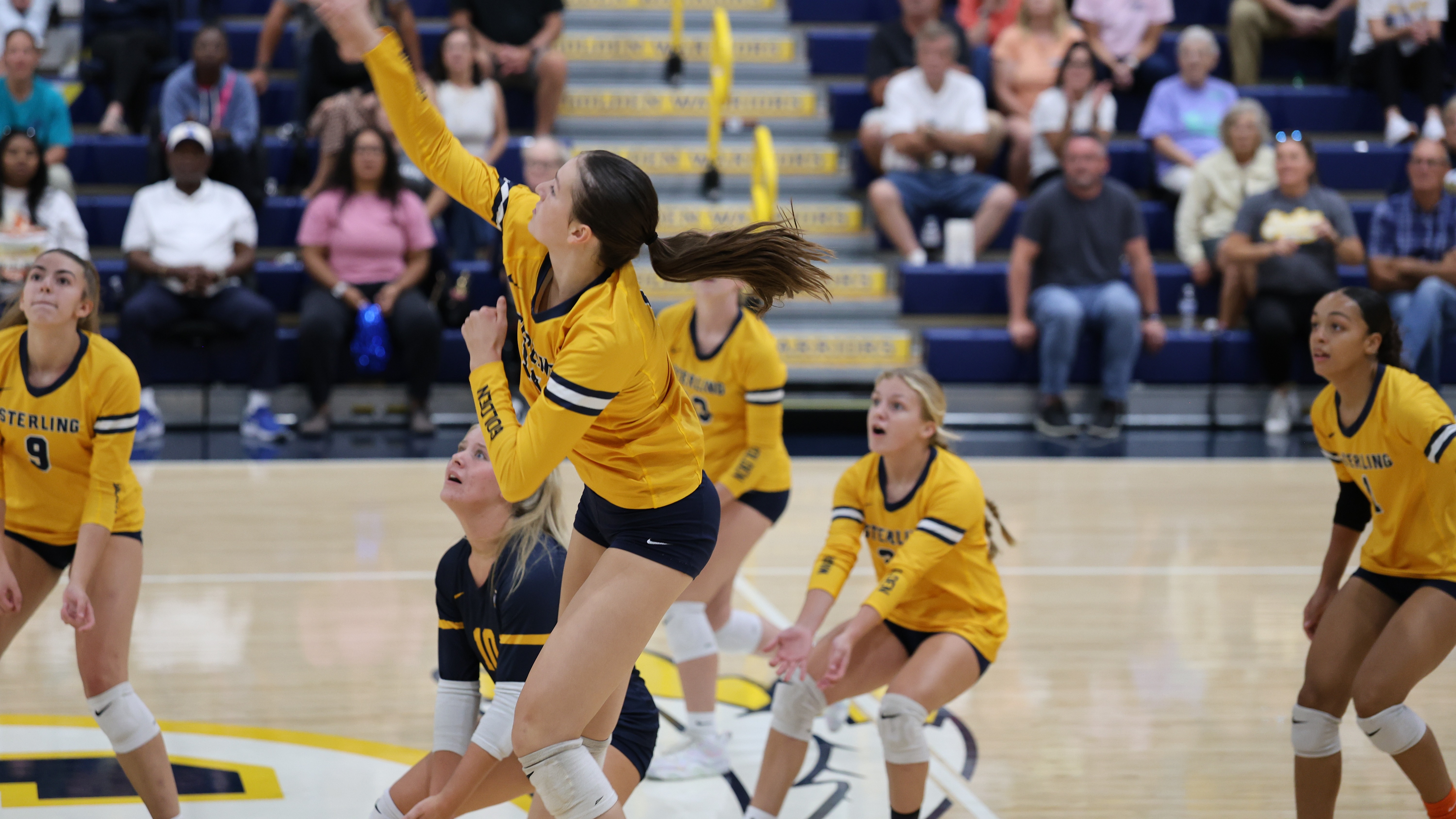 volleyball