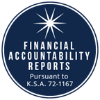financial report icon