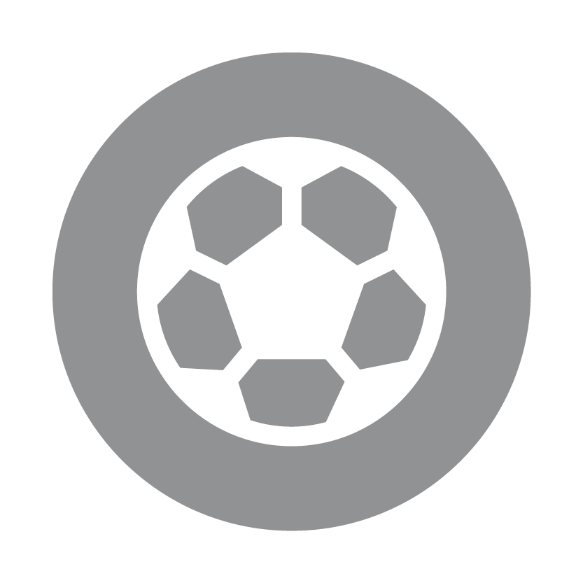 soccer ball icon