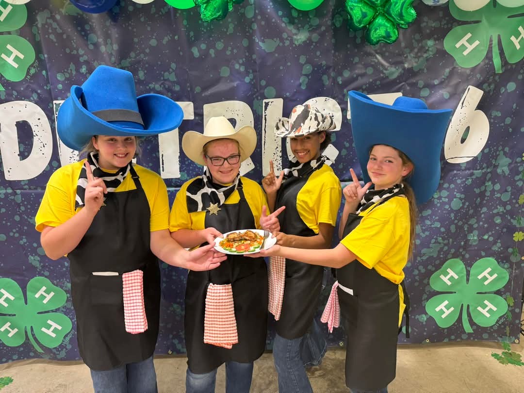 4-h