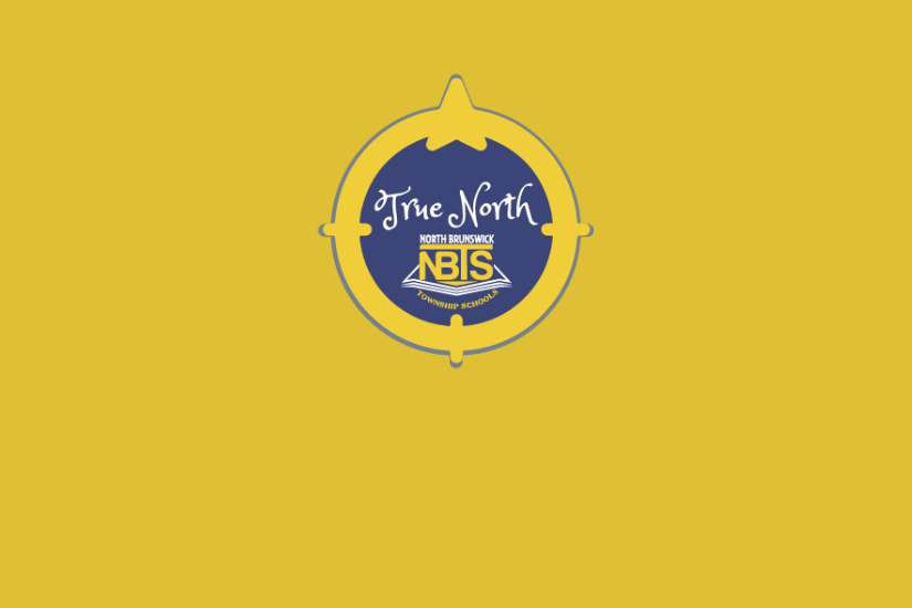 True North NBTS Logo