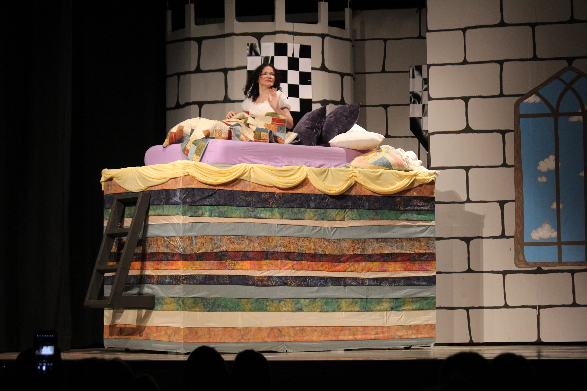 Once Upon a Mattress