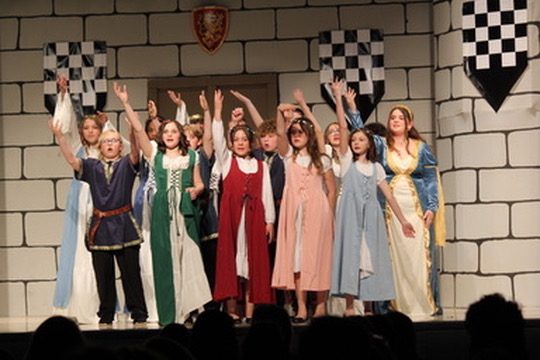 Once Upon a Mattress