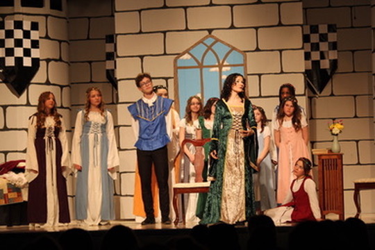 Once Upon a Mattress