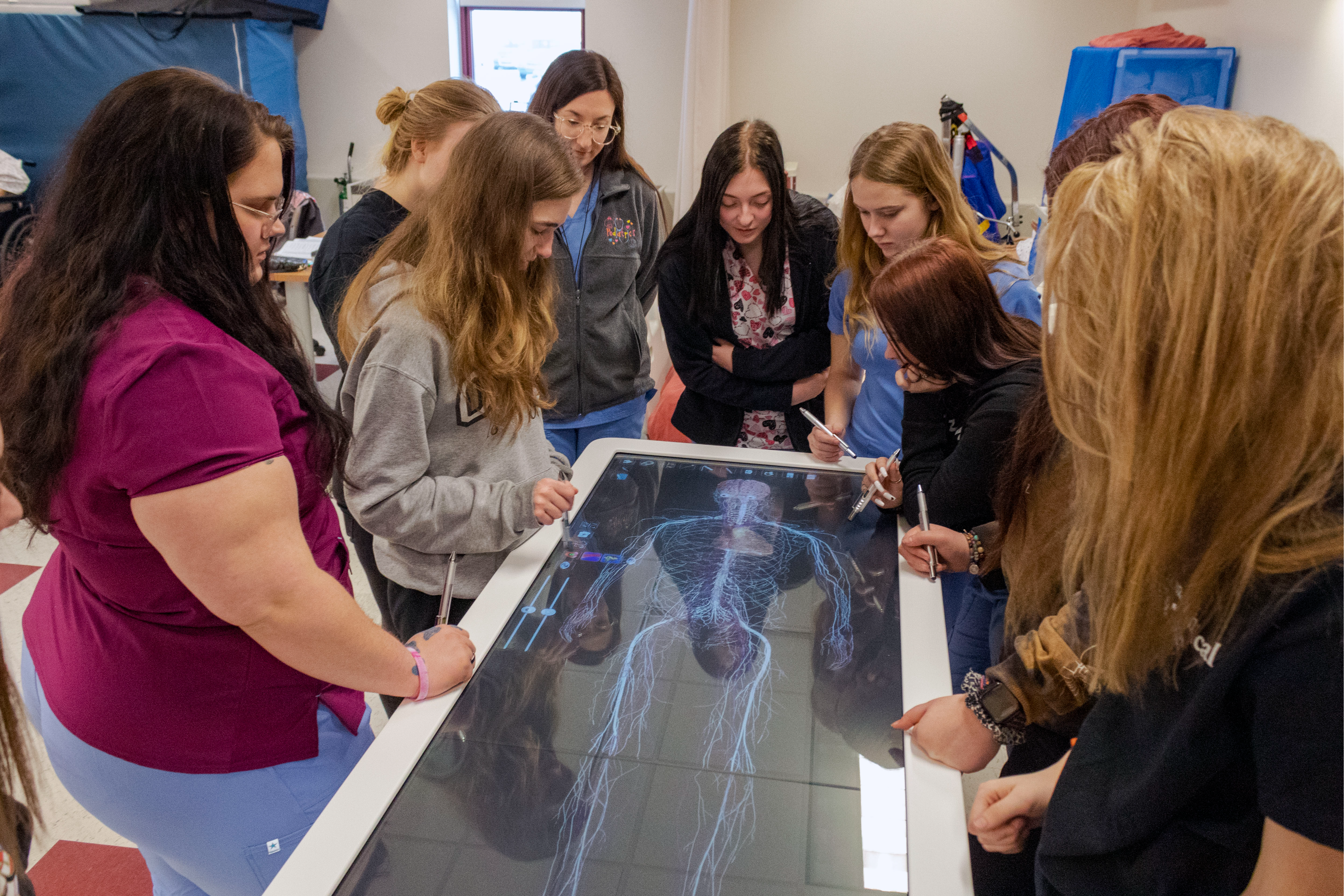 Health Care Careers students study human anatomy on the Anatomage Table, a fully segmented real human 3D anatomy system. 