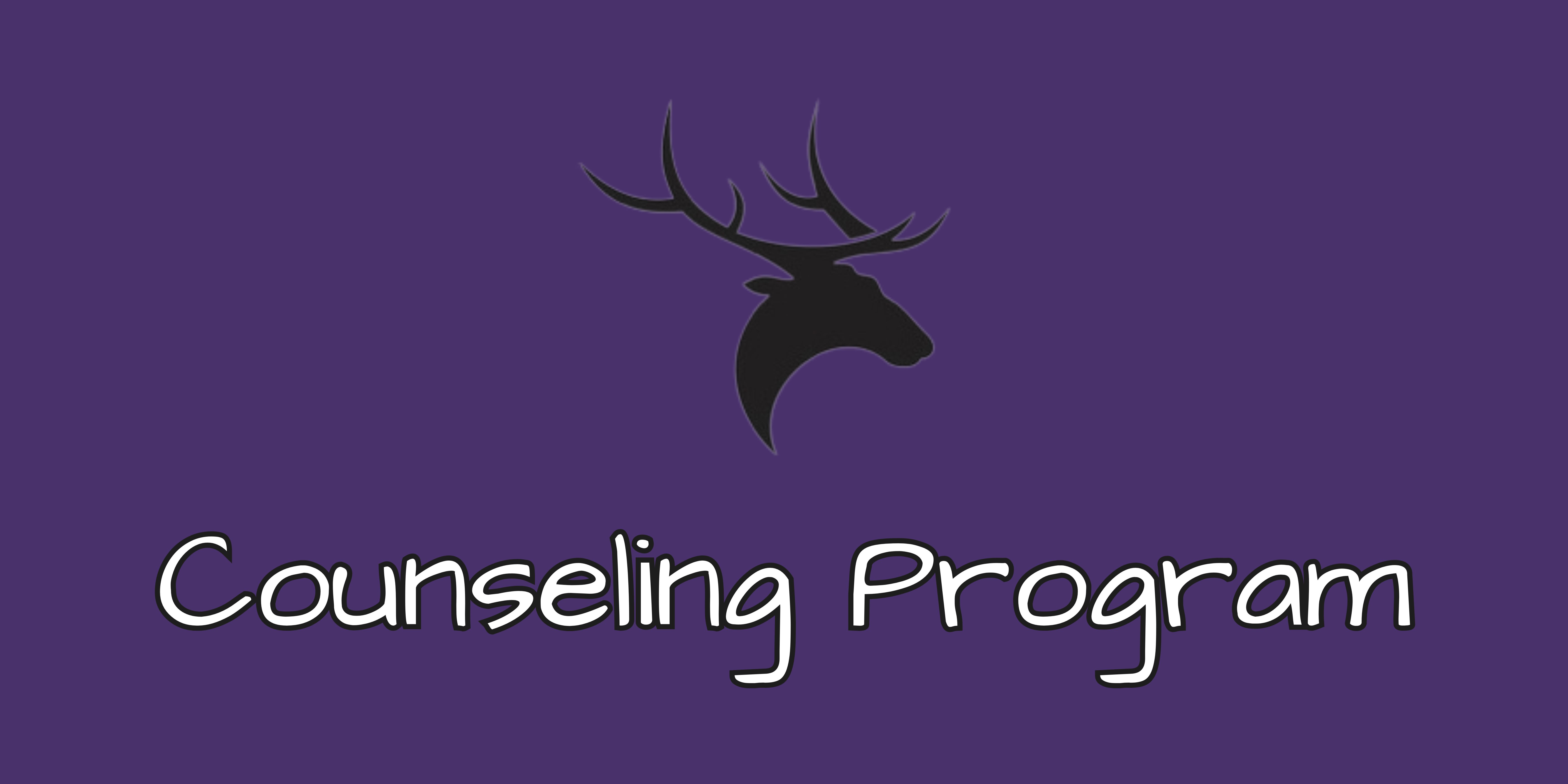 Counseling Program