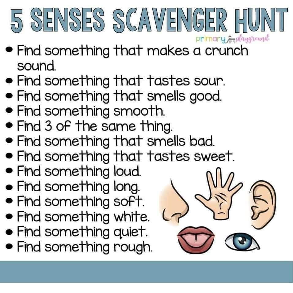 5 senses