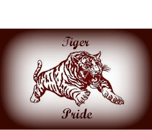 Tigers Pride