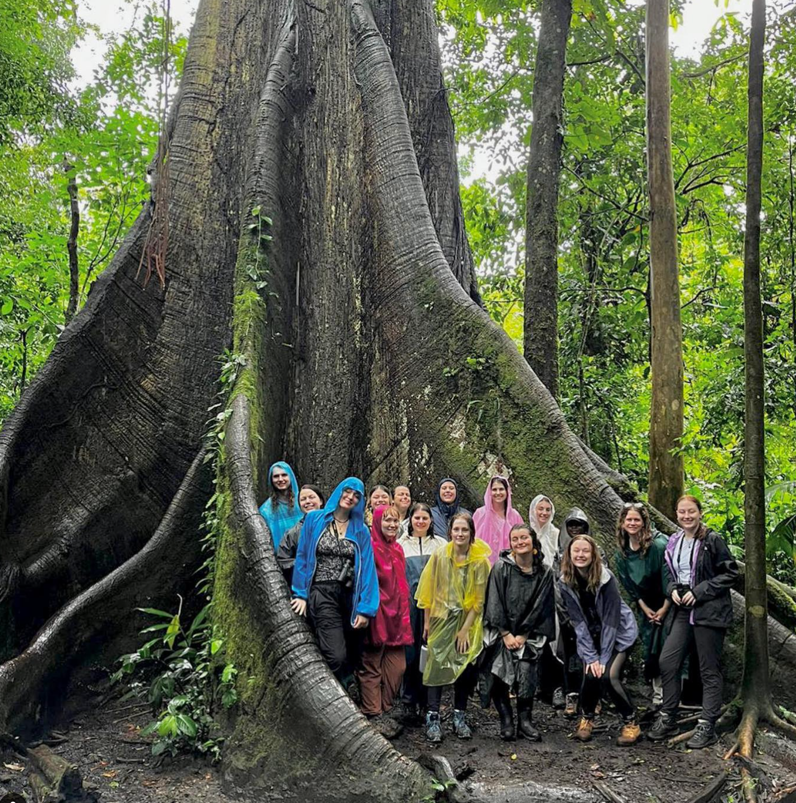 group of students in front of giant tree in Costa Rica