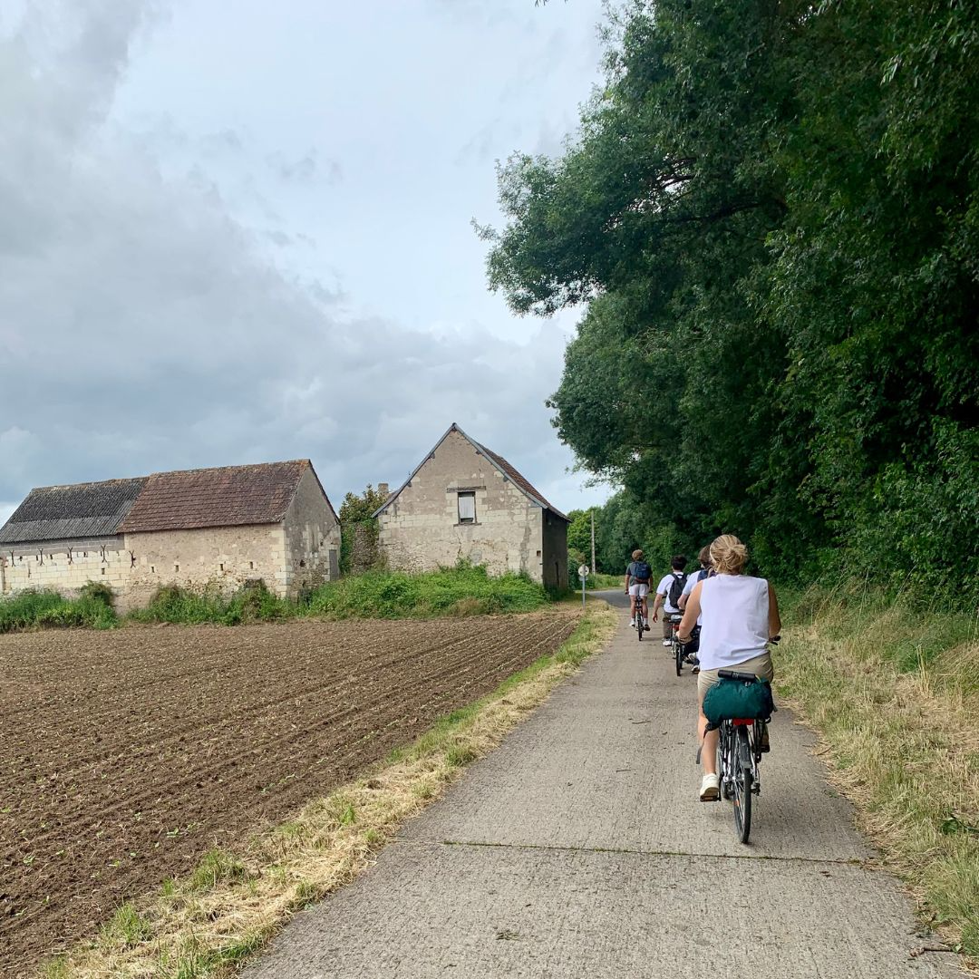 Hendrix-in-Tours group biking French countryside