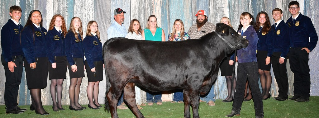 Holly Hancock with steer at Colorado State Fair