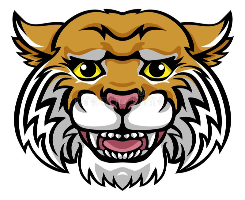 GRADE SCHOOL Carrier MillsStonefort CUSD 2