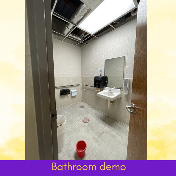 Bathroom Reno