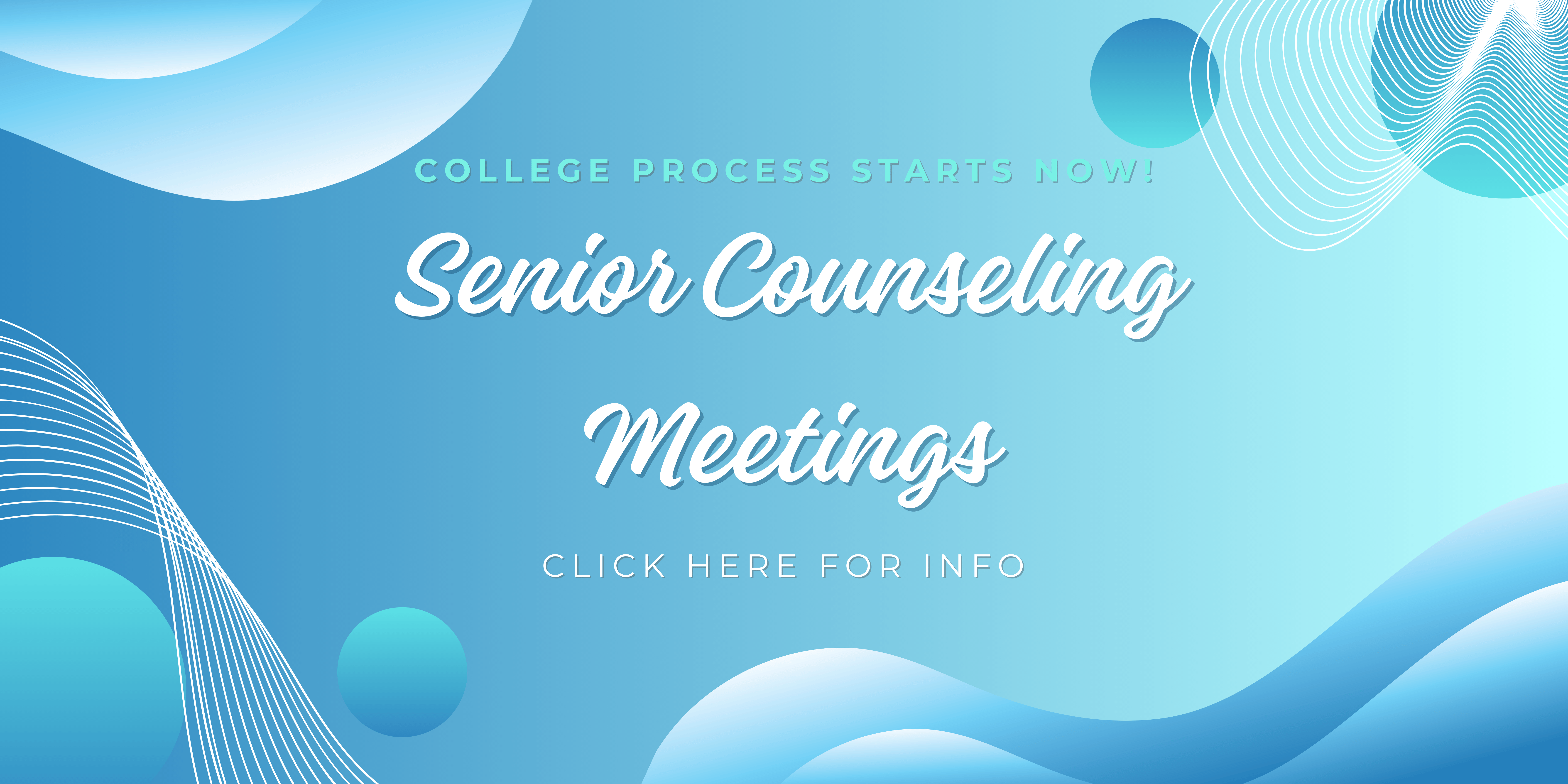 Senior Counseling Meetings