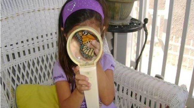 child and butterfly