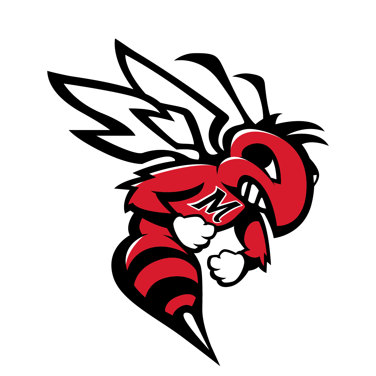 Live Feed Maumelle High School