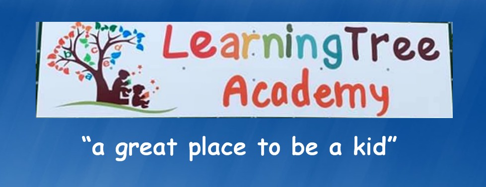 Learning Tree Academy 