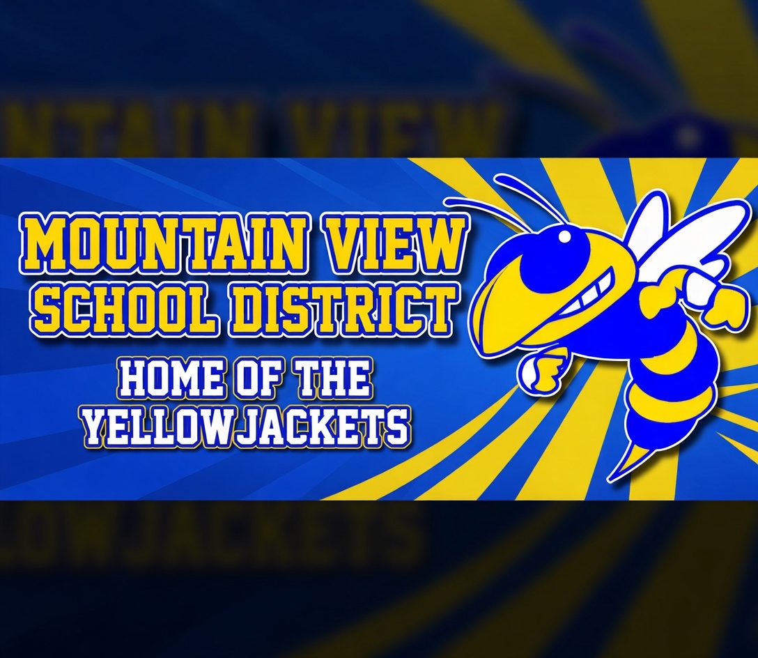Mountain View School District