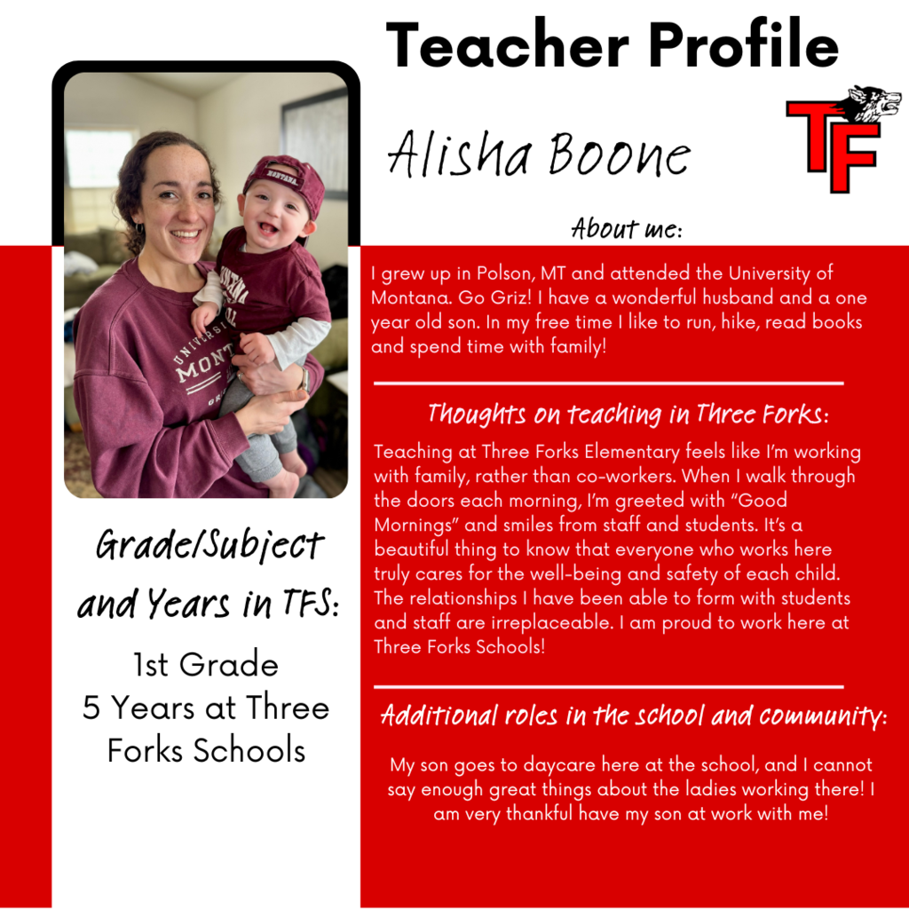 teacher profile