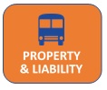 Property & Liability