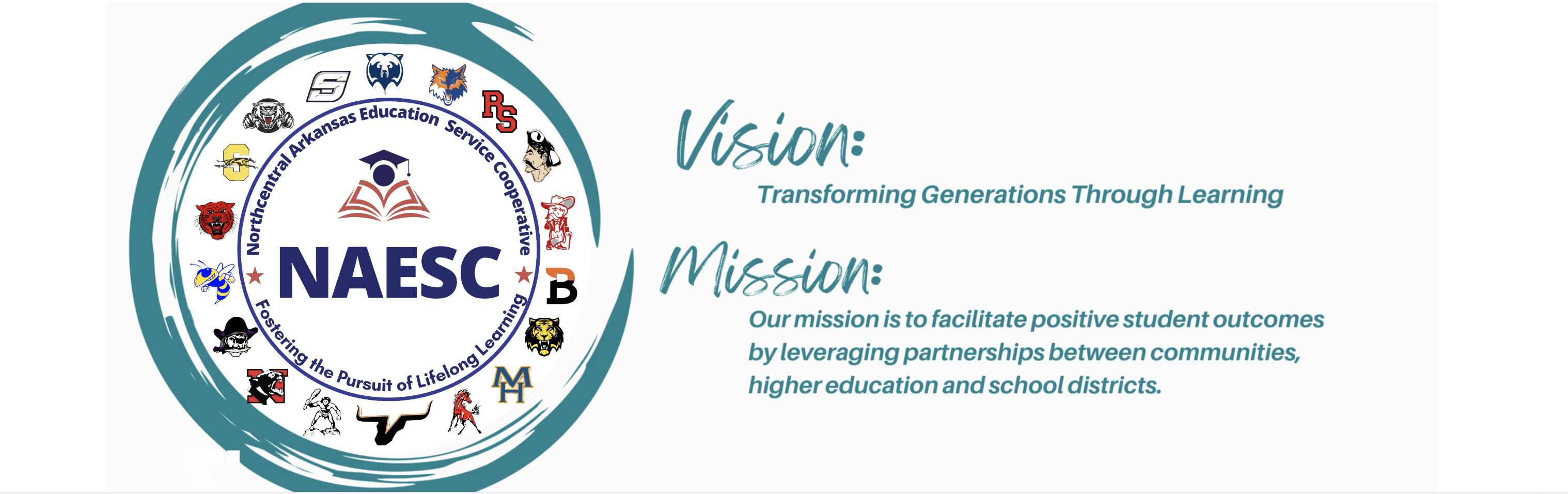 vision