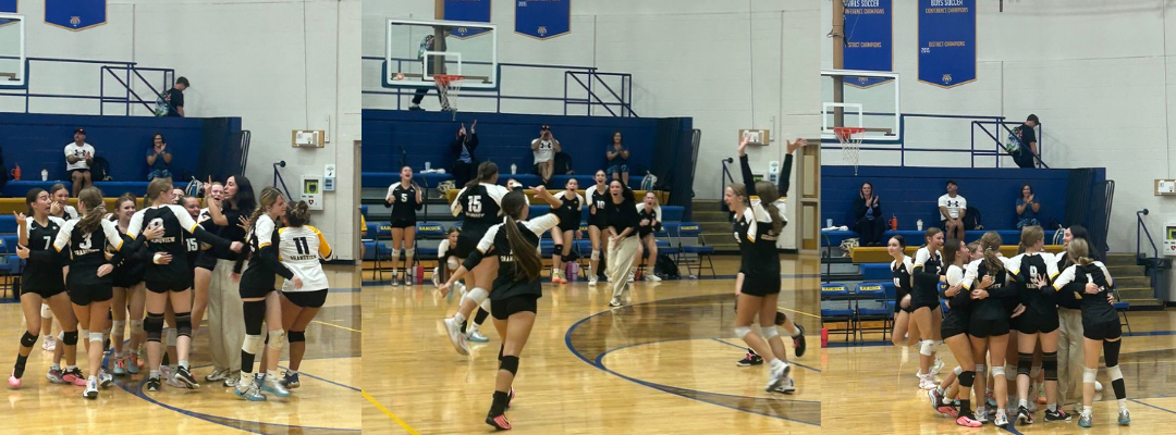 Volleyball