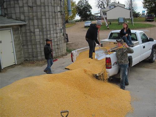 Corn Drive 2013-