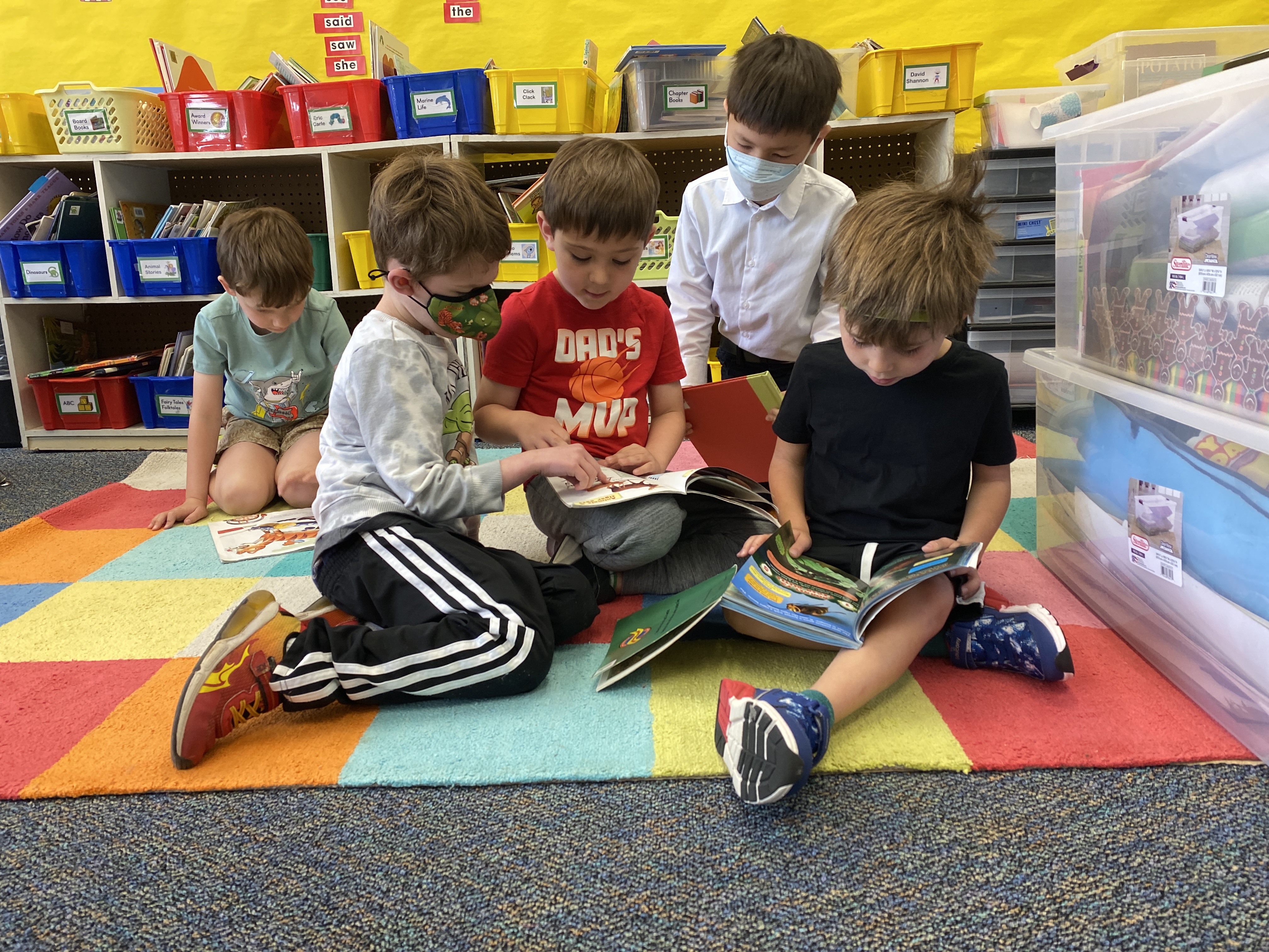 Literacy | Falls Church City Public Schools