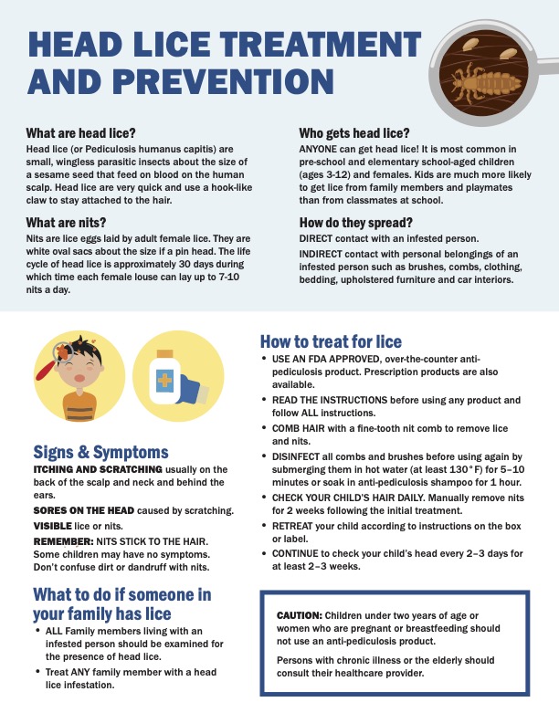 Lice Treatment Prevention Falls Church City Public Schools