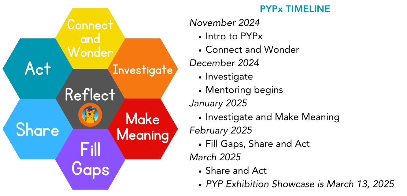 pypx timeline image