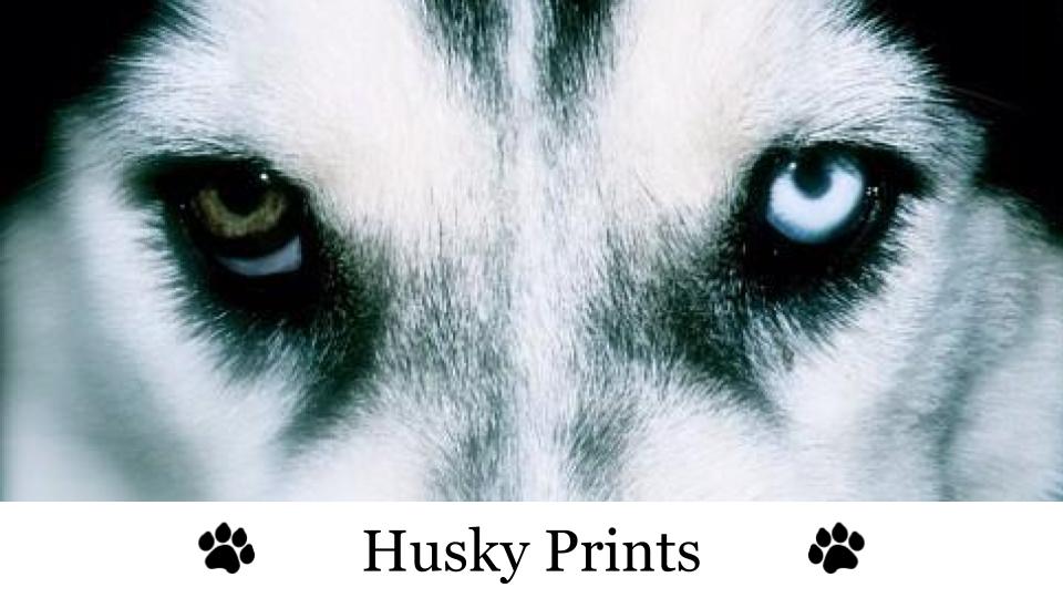 Husky Prints