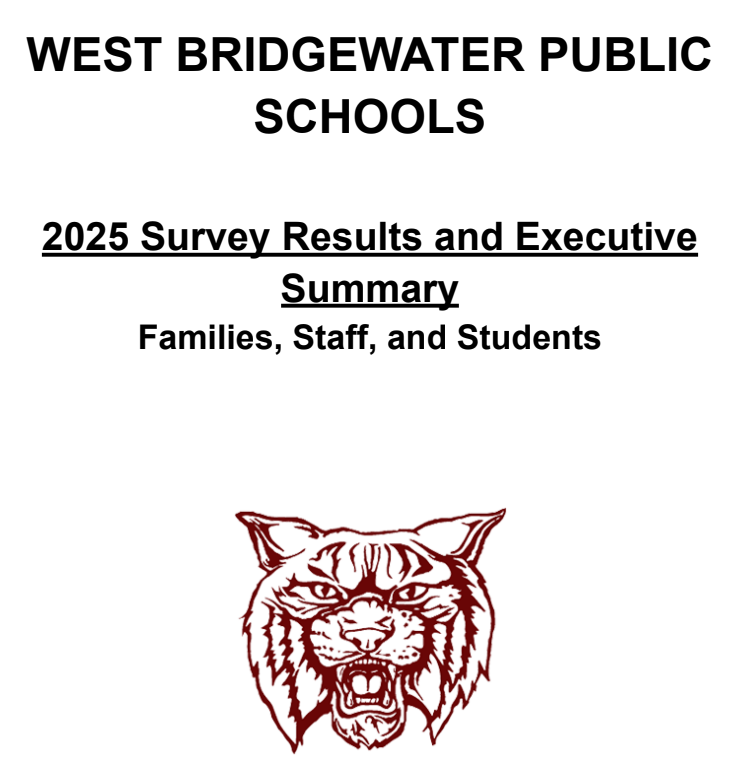 summary results cover image