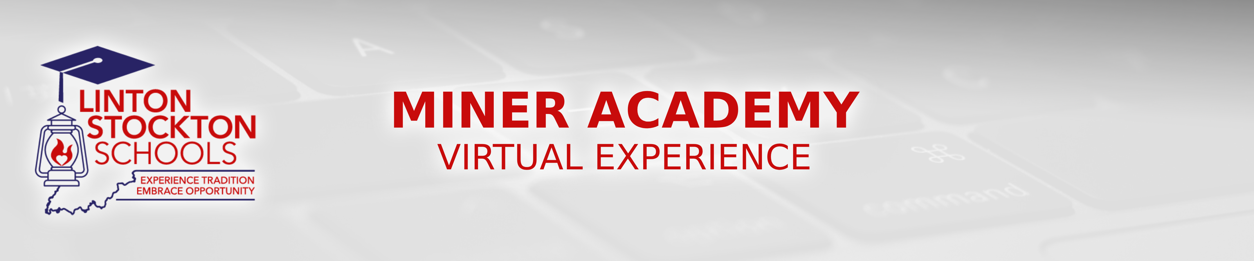 miner academy virtual experience 