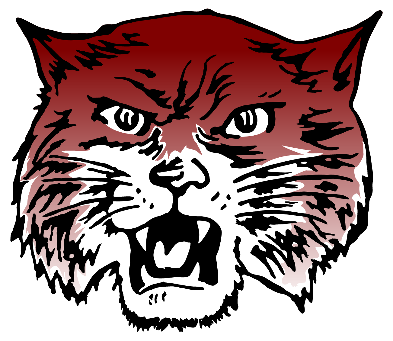 Wildcat image