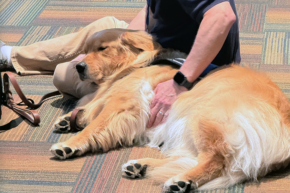 Clark-Pleasant Community Schools Indiana