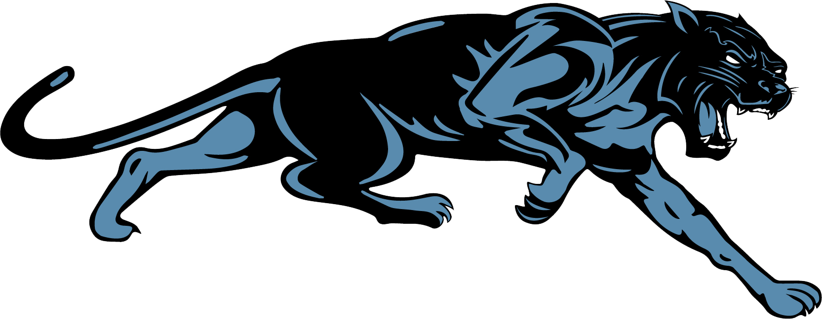 Page County High School Panthers Logo