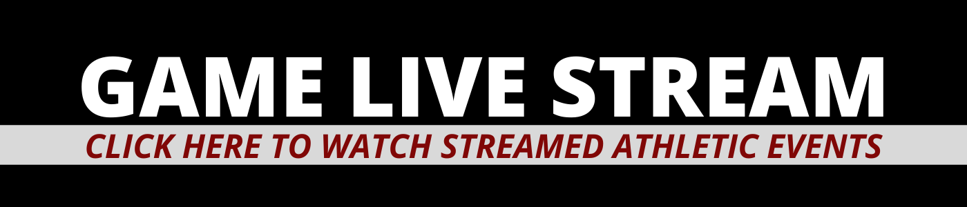 Game live stream  banner