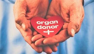 Organ Donor Day