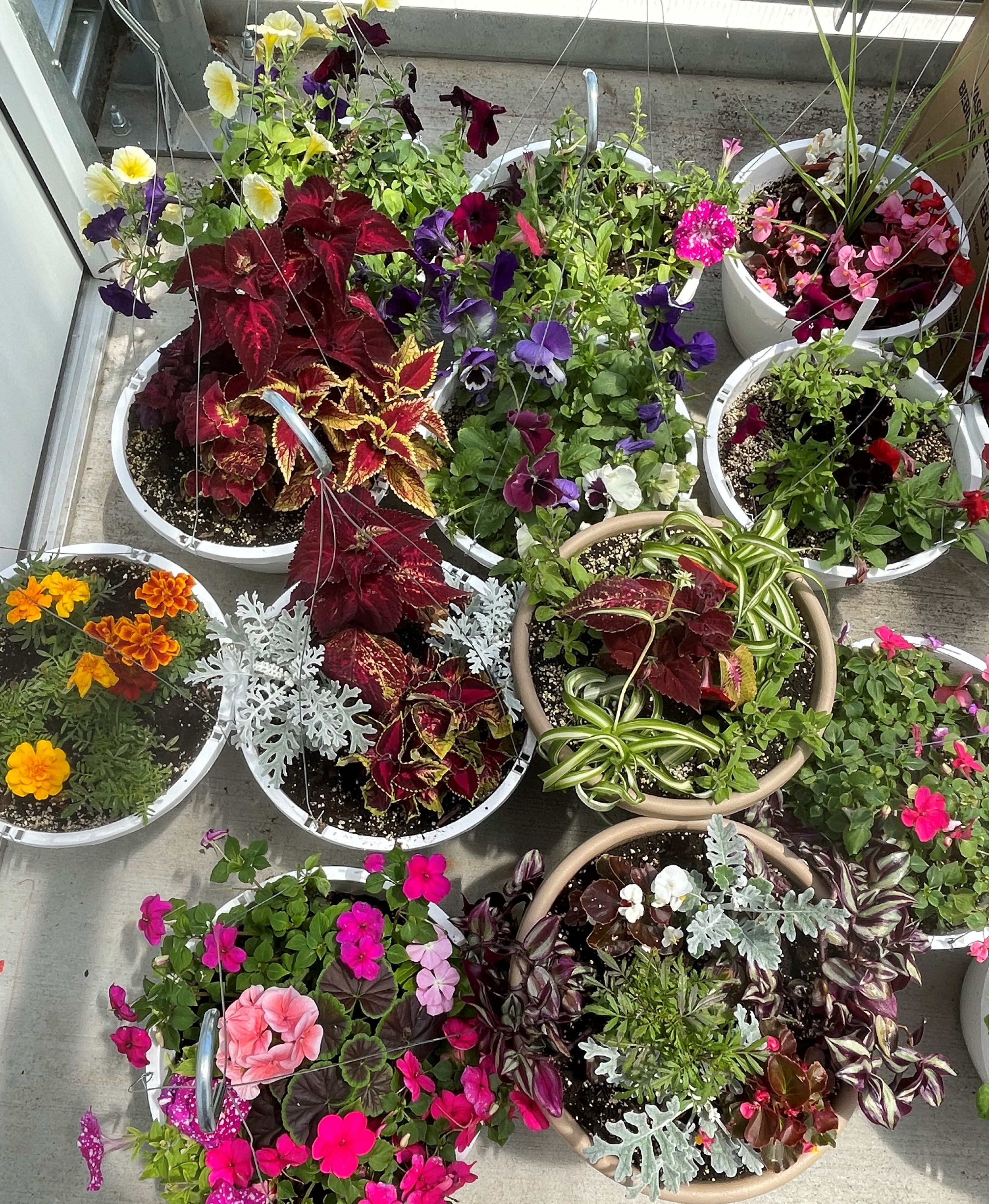 Up close photo of some student-created hanging baskets
