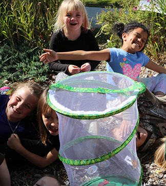 Girls looking at insects