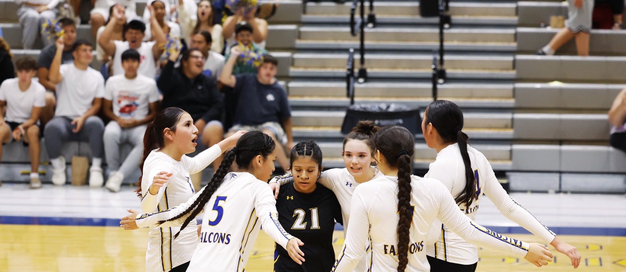 Todd County Volleyball