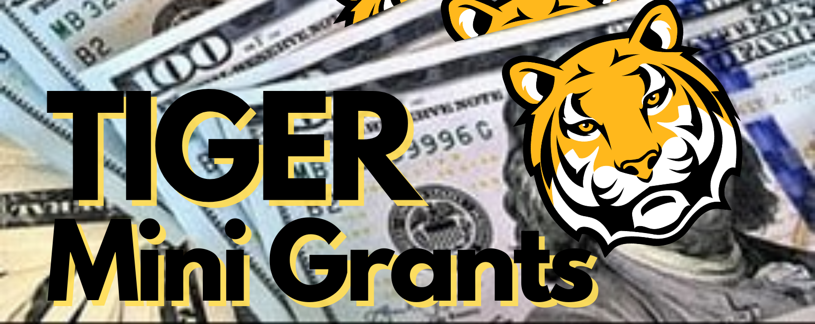 TIGER Mini Grants | Arcadia Valley R-II School District